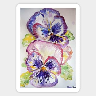 Pansy Watercolor Painting Flower purple Sticker